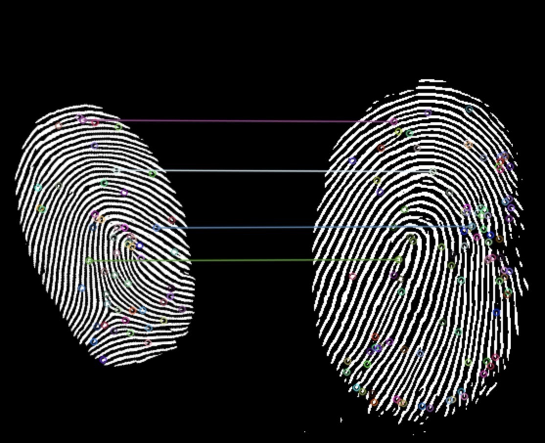Fingerprint Matching Visualization