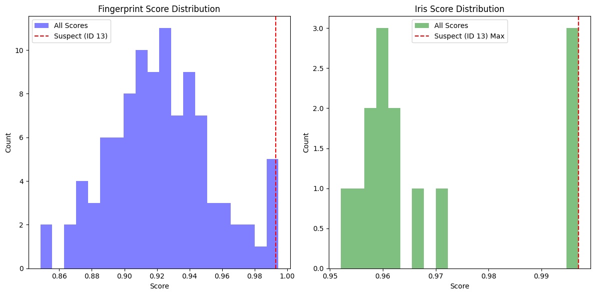 Triplet loss encoder architecture