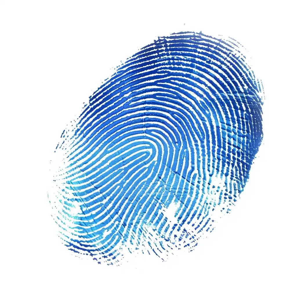 Biometrics Identification System
